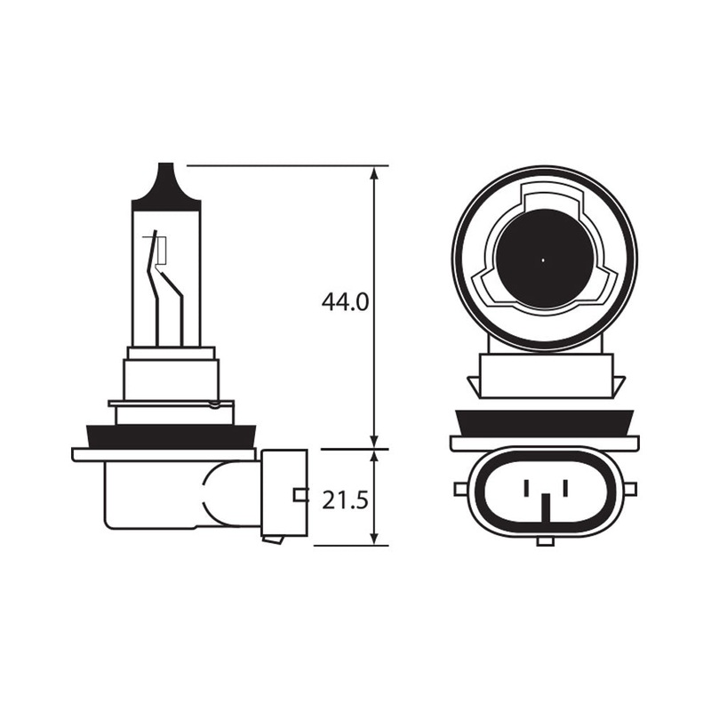 BULB – HALOGEN 12V 55W – H11 – PGJ19-2