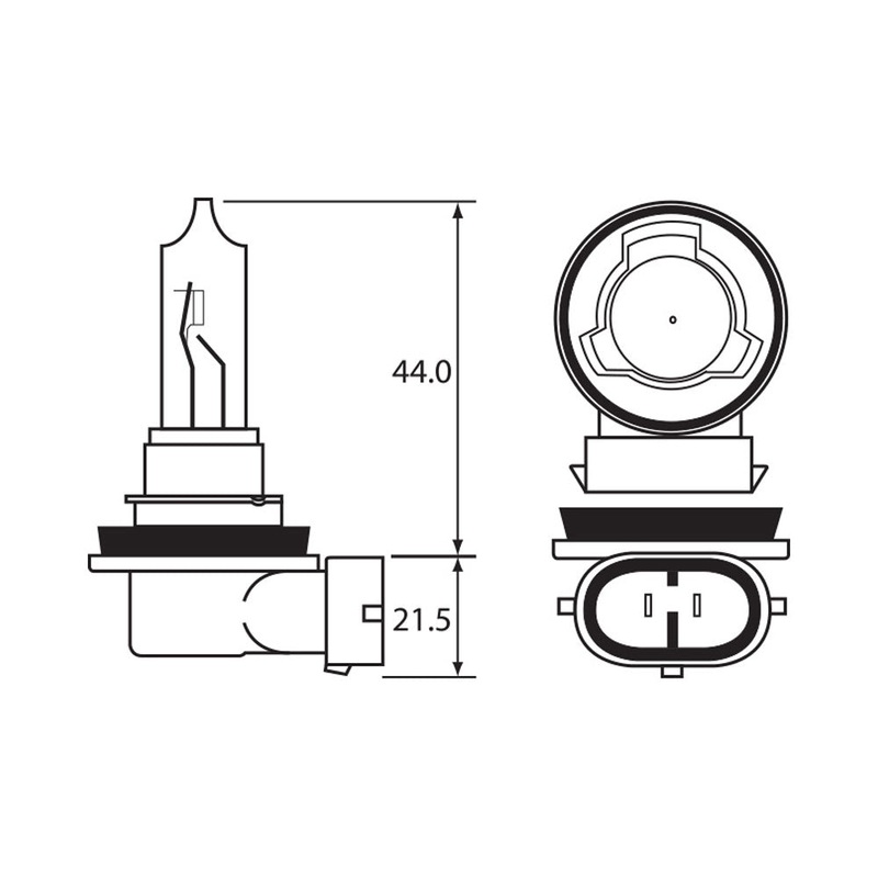 BULB – HALOGEN 12V 65W – H9 – PGJ19-5