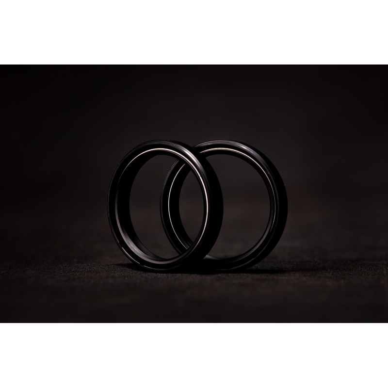 Fork oil seal