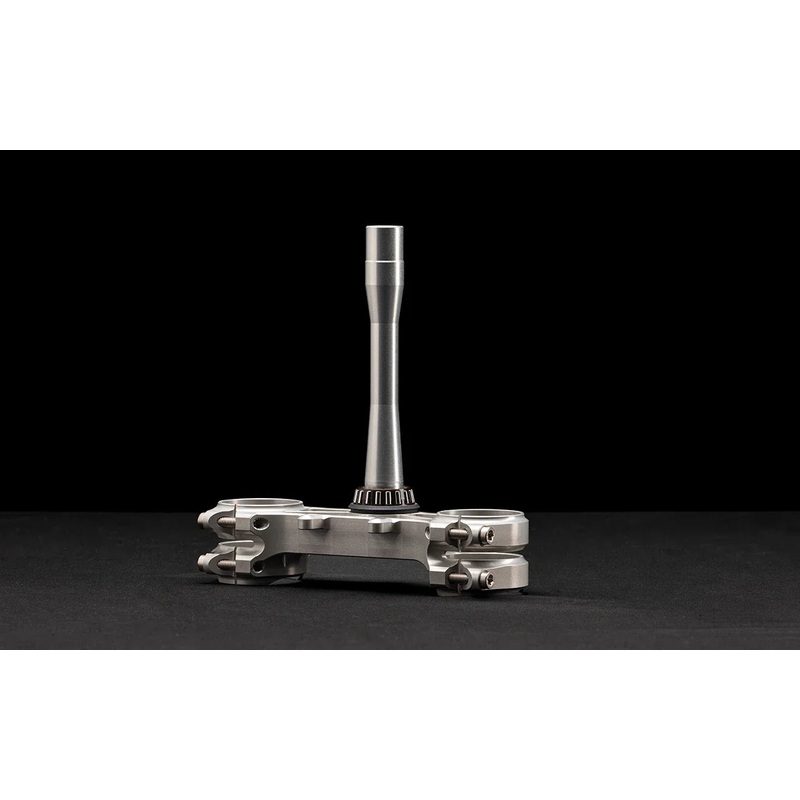 Lower Triple Clamp assembly