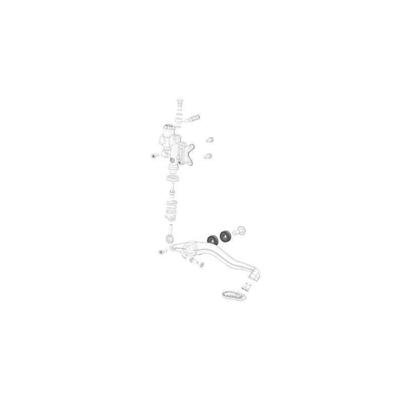 Rear foot brake lever bearing (1 unit)
