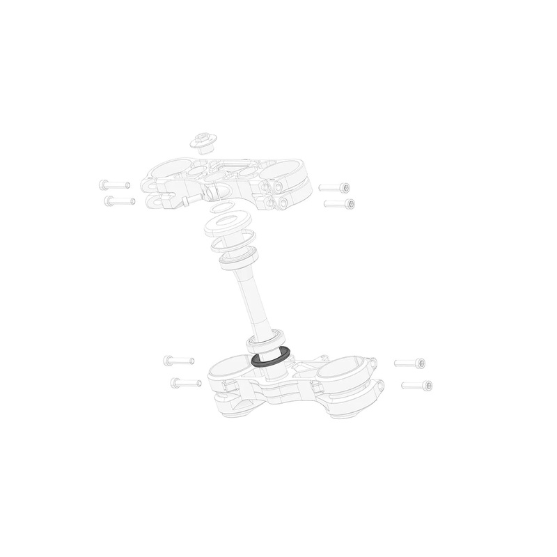 Steering head bearing lower seal