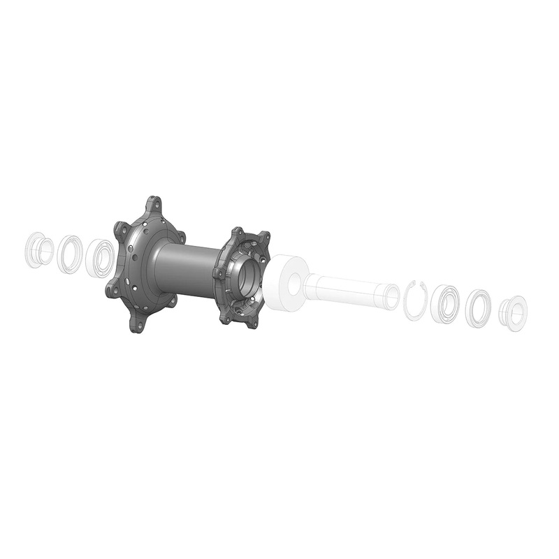 Rear hub