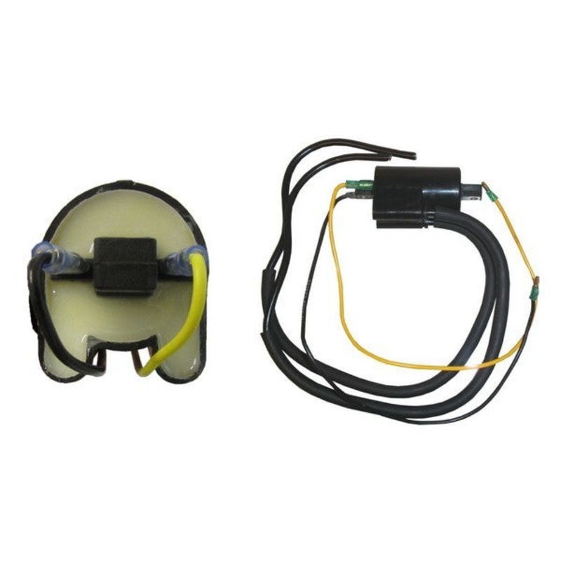 12v Twin Lead CDI Ignition Coil 713752