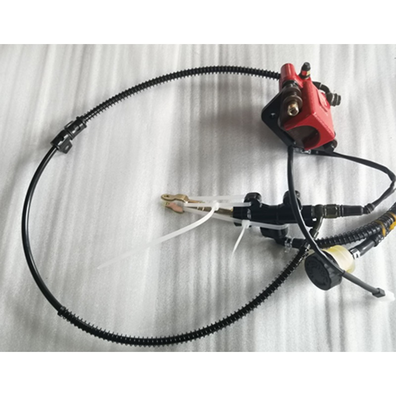 Rear Brake Assy