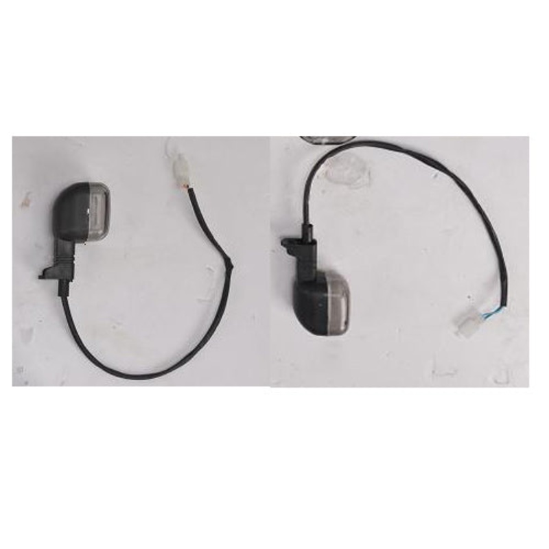 Rear Turn Light