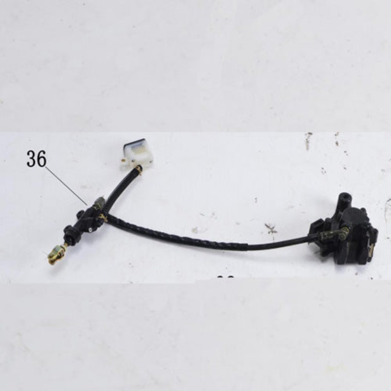 Rear Brake Assembly
